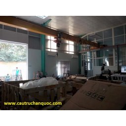 Cầu trục 1 tấn hàn quốc 1 dầm đơn khẩu độ nhà xưởng 10m