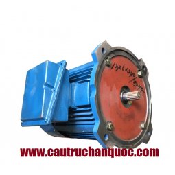 Động cơ nâng hạ palang hàn quốc công suất 13kwx6P